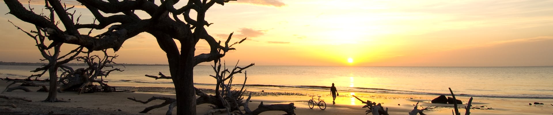 Sunset over a beach with silhouetted driftwood and calm waters.