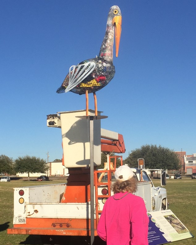 Pelican on pole