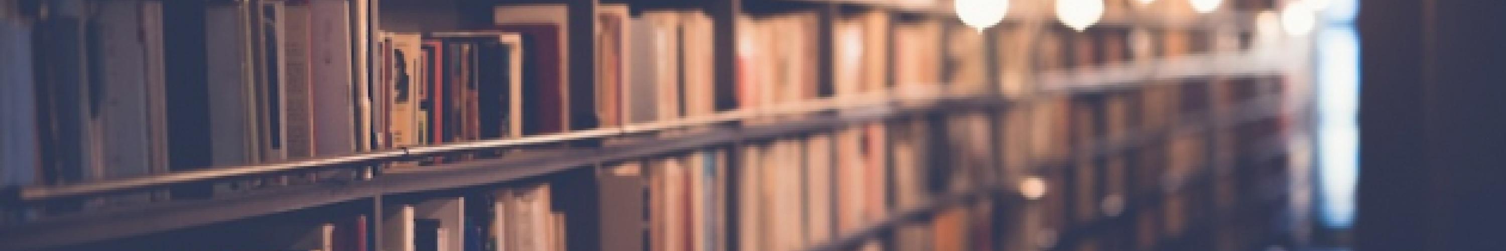 Bookshelf lined with books under warm hanging lights.