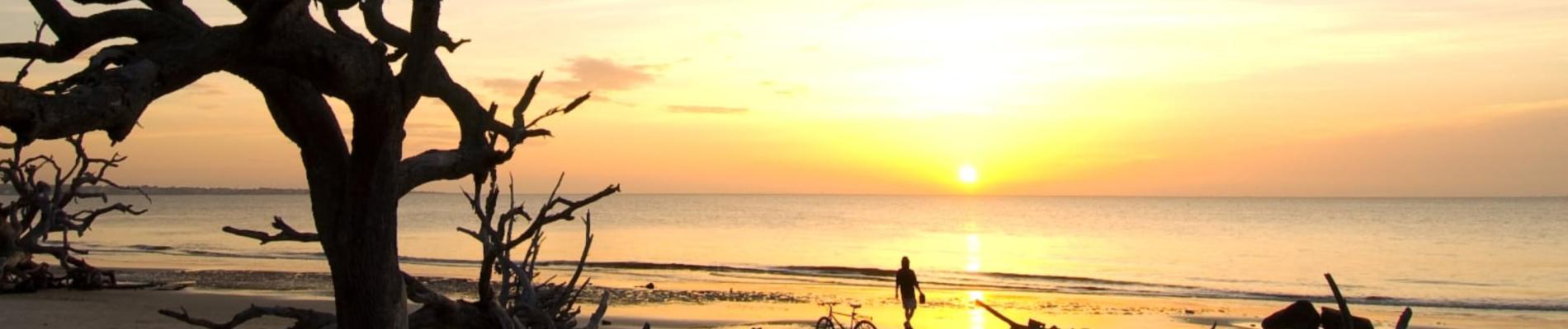 Sunset over calm beach with driftwood silhouettes.